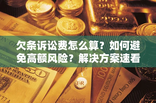 武汉欠条诉讼费怎么算？如何避免高额风险？解决方案速看！