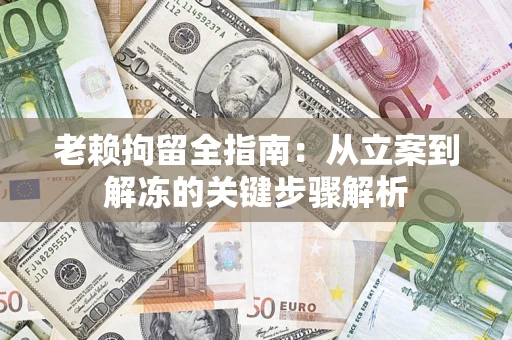 武汉老赖拘留全指南：从立案到解冻的关键步骤解析