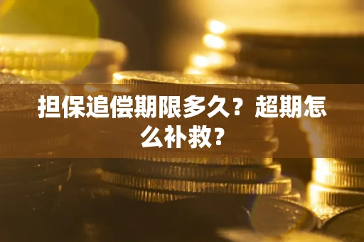 武汉担保追偿期限多久？超期怎么补救？