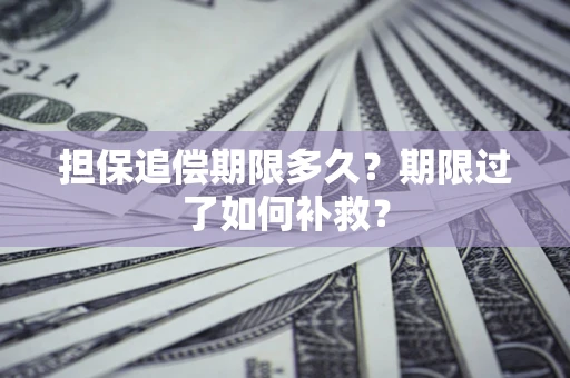 武汉担保追偿期限多久？期限过了如何补救？