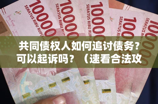 武汉共同债权人如何追讨债务？可以起诉吗？（速看合法攻略）
